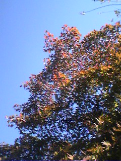 061107_1427~01.jpg