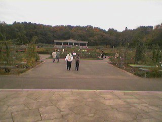 061123_1218~01_001.jpg