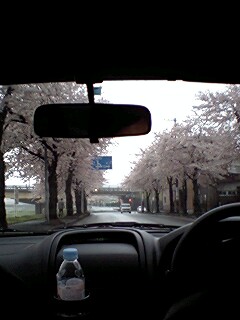 070422_0722~0001.jpg